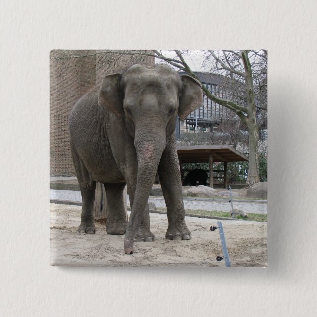 ELEPHANT button (Front)