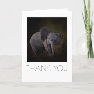 Elephant Calf Holiday Card