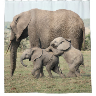 Elephant Calves Playing shower curtain