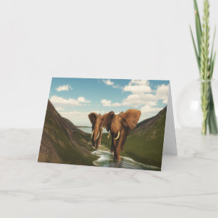Elephant Card