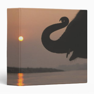 Elephant, Chitwan National Park, Nepal Binder