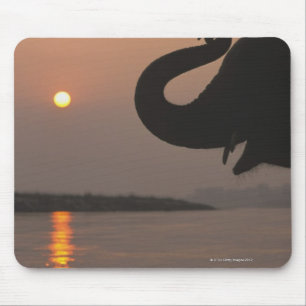Elephant, Chitwan National Park, Nepal Mouse Pad