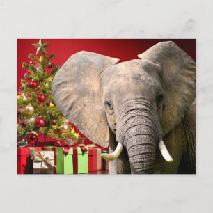 Elephant Christmas Greetings Postcard