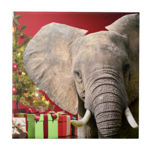 Elephant Christmas Greetings Tile