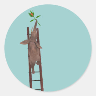Elephant climbing a ladder classic round sticker