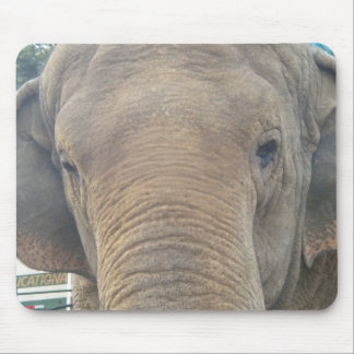 Elephant Close-up Mouse pad