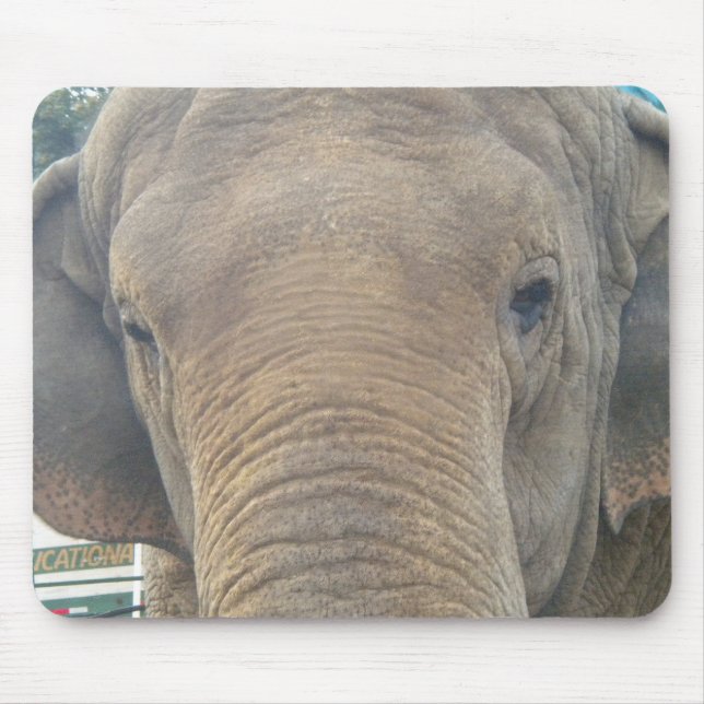 Elephant Close-up Mouse pad (Front)