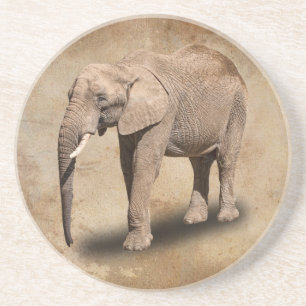 ELEPHANT COASTER