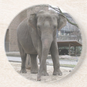 ELEPHANT coaster