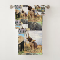 Elephant Colour Photo