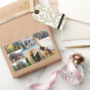 Elephant Colour Photo Sticker