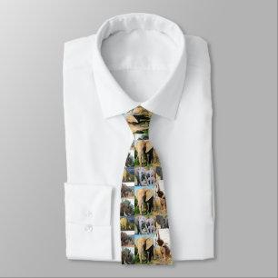Elephant Colour Photo  Tie