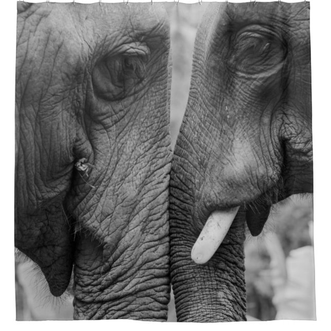 ELEPHANT COUPLE (Front)
