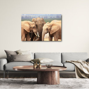Elephant cuddle Canvas Framed Print
