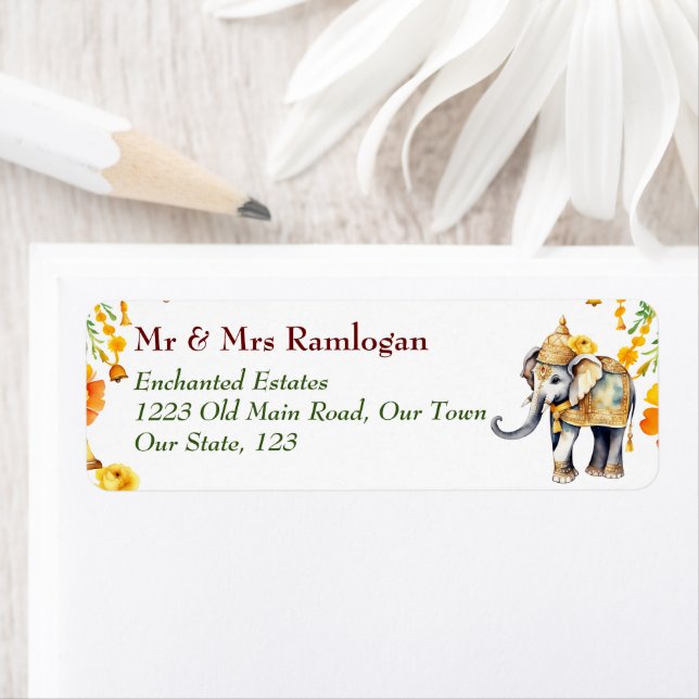 éléphant décoré en Inde (En situation)