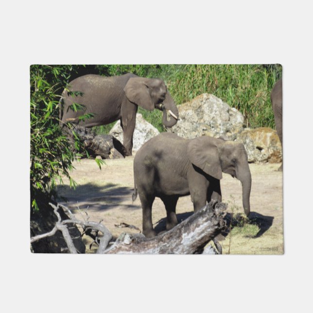 Elephant -  Doormat (Front)