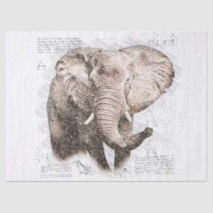 Elephant Drawing Tissue Paper