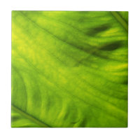 Elephant Ear Taro Ceramic Tile