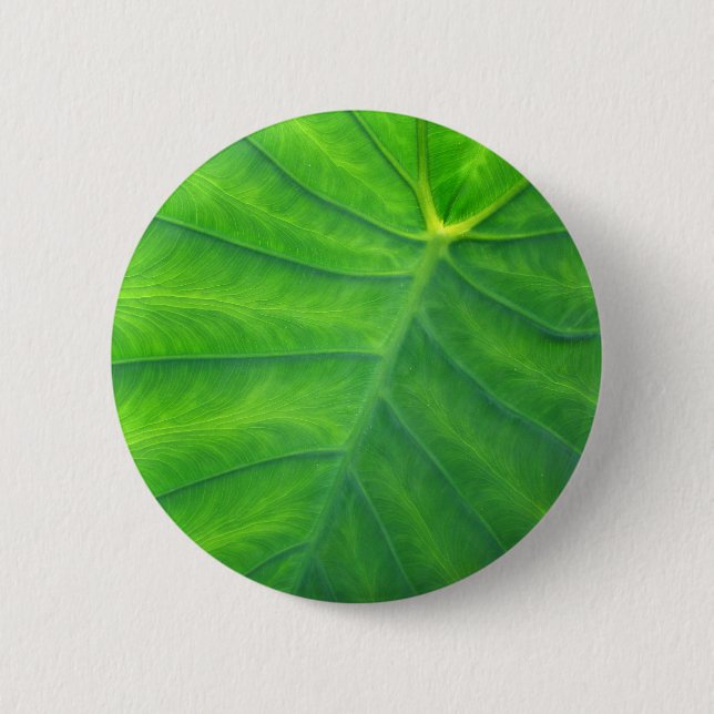 Elephant Ears - Colocasia 2 Inch Round Button (Front)