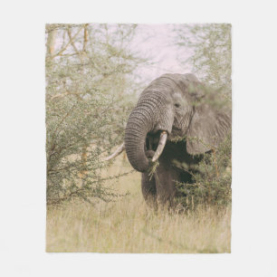 ELEPHANT EATING OFF A TREE FLEECE BLANKET