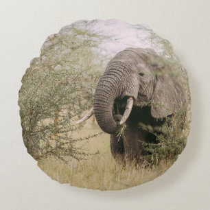 ELEPHANT EATING OFF A TREE ROUND PILLOW