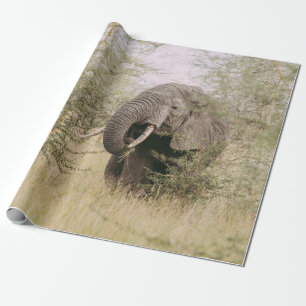 ELEPHANT EATING OFF A TREE WRAPPING PAPER
