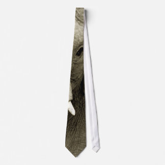 Elephant eye and trunk tie