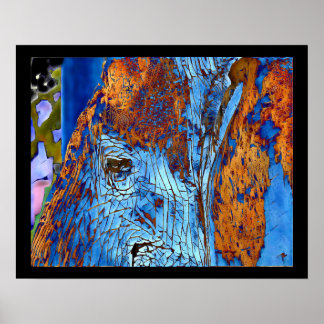 Elephant Eye Original Photo Digital Art Poster