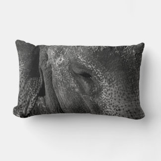 Elephant Eye Pillow