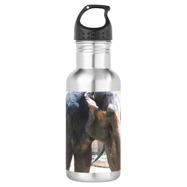 Elephant face 710 ml water bottle (Front)