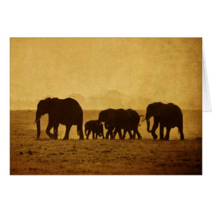 Elephant Family