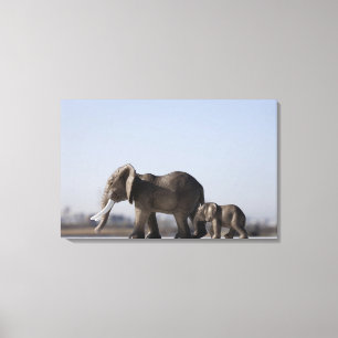 Elephant Family background blue sky Canvas Print