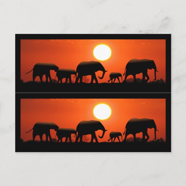 Elephant Family Book Markers Postcard (Front)