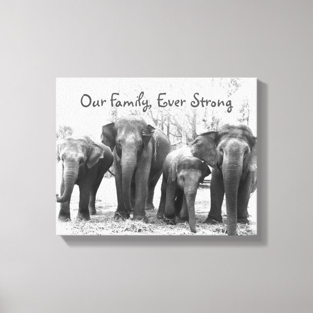 Elephant Family Canvas Print (Front)