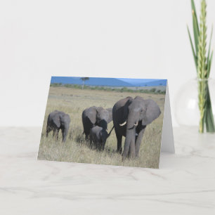 Elephant Family Card