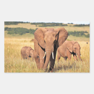 Elephant family in the bushes sticker