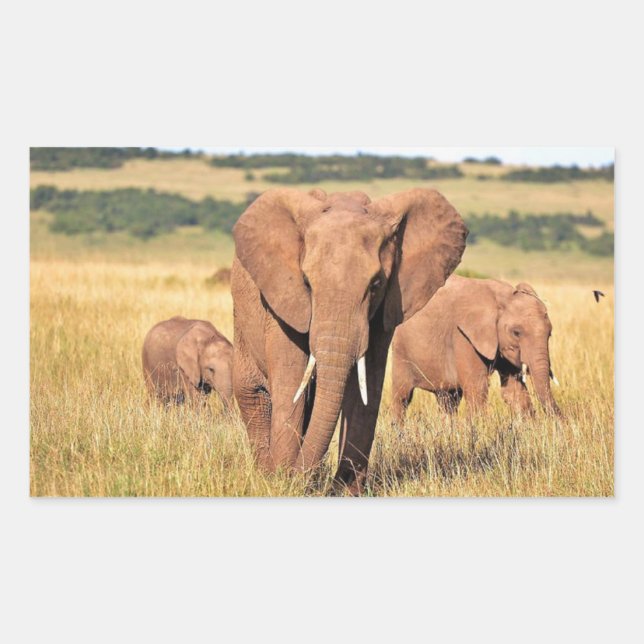 Elephant family in the bushes sticker (Front)