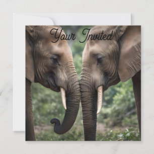 Elephant Family Is Love, Invitation