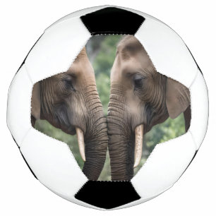 Elephant Family Is Love, Soccer Ball
