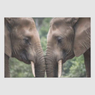 Elephant Family Is Love, Tissue Paper