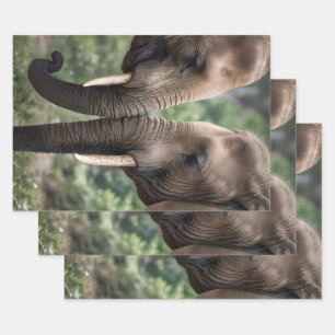 Elephant Family Is Love,  Wrapping Paper Sheet
