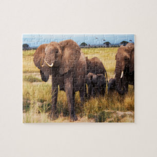 Elephant Family Jigsaw Puzzle