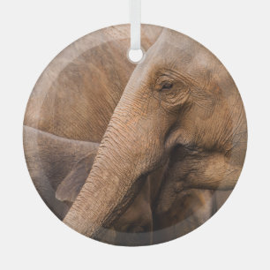 Elephant Family: Majestic Wildlife Glass Ornament