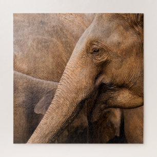 Elephant Family: Majestic Wildlife Jigsaw Puzzle