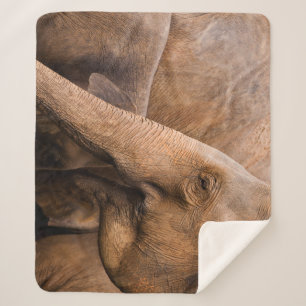 Elephant Family: Majestic Wildlife Sherpa Blanket