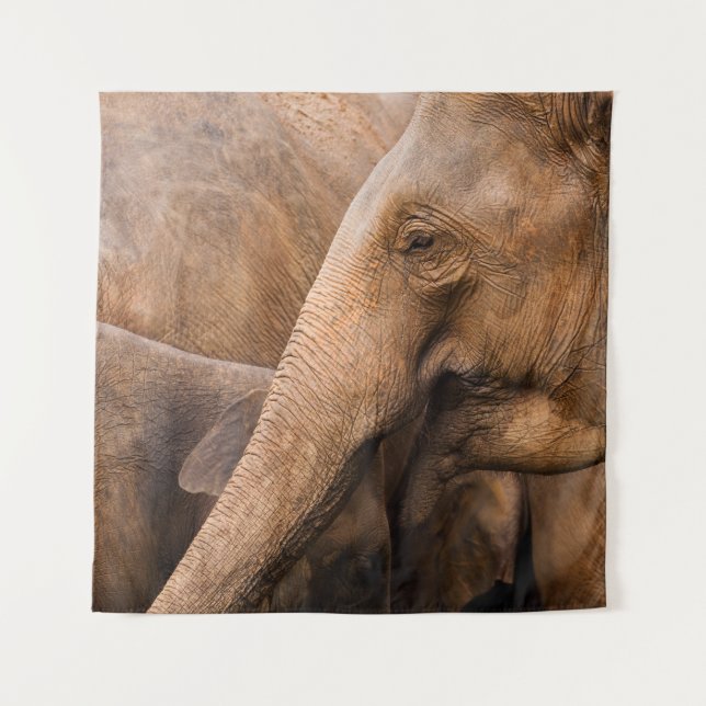 Elephant Family: Majestic Wildlife Tapestry (Front)