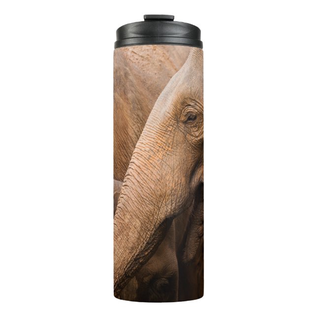 Elephant Family: Majestic Wildlife Thermal Tumbler (Front)
