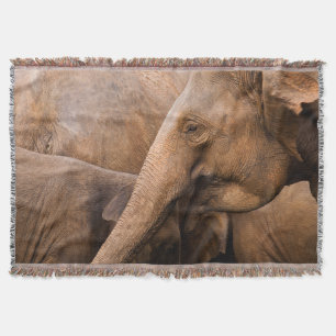 Elephant Family: Majestic Wildlife Throw Blanket