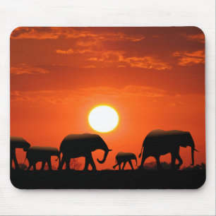 Elephant family mouse pad