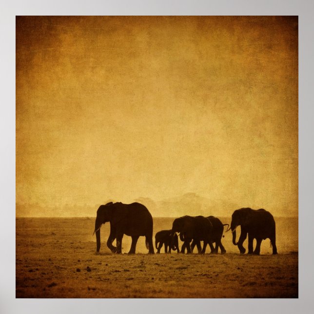 Elephant Family Poster (Front)